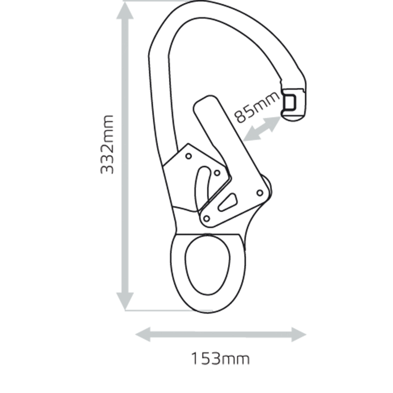 Pylon hook