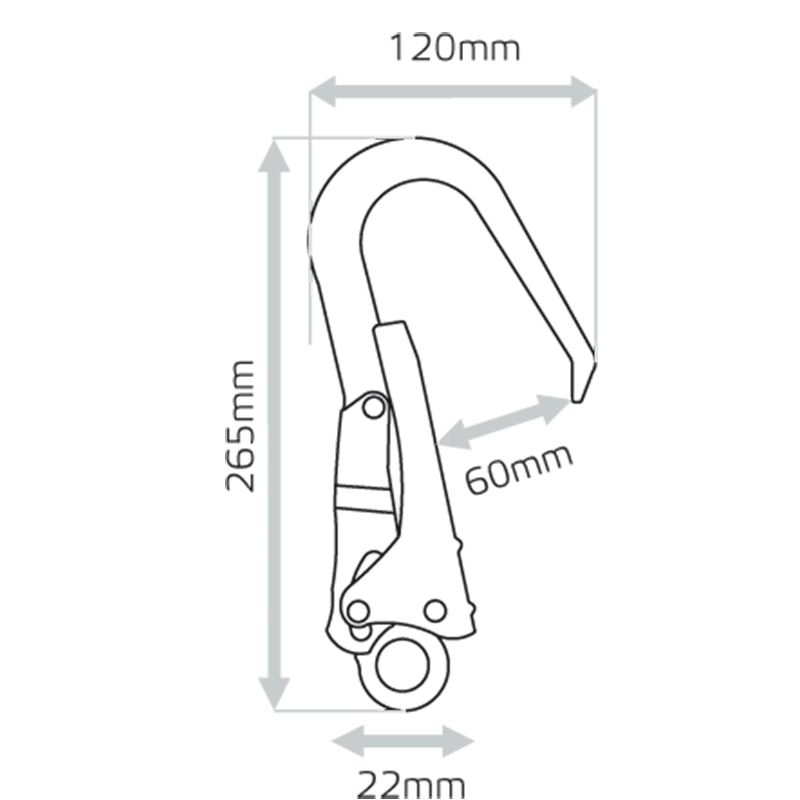 Swivel loop scaffhook
