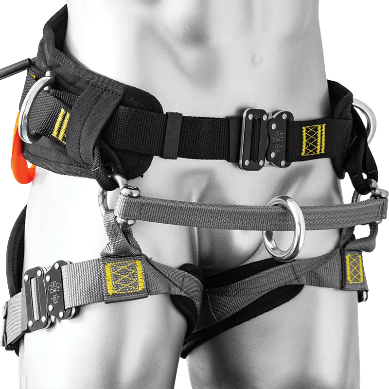 Professional tree work harness 