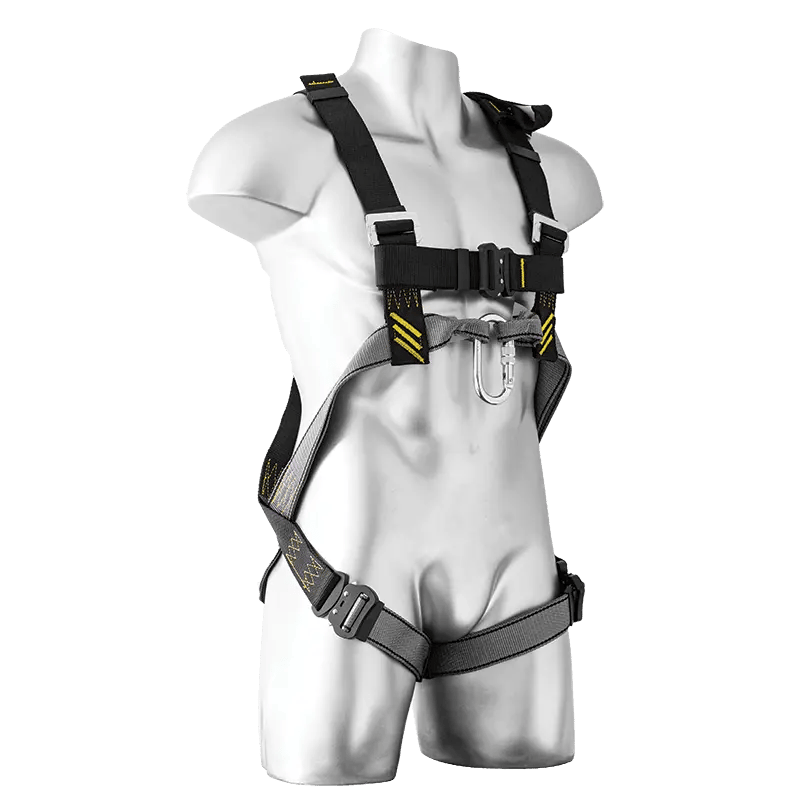 Multi-purpose harness