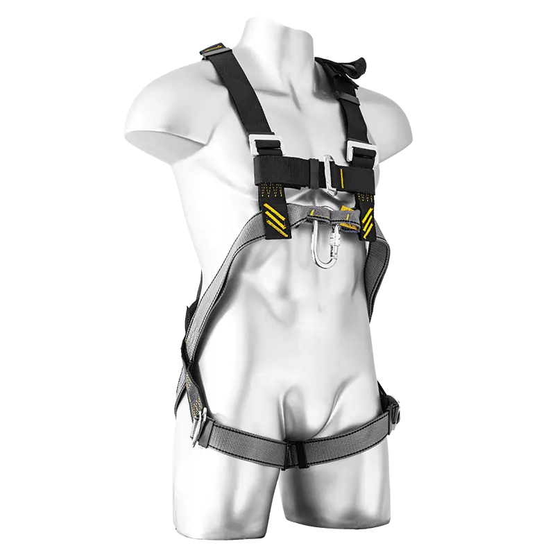 Multi-purpose harness with standard buckles